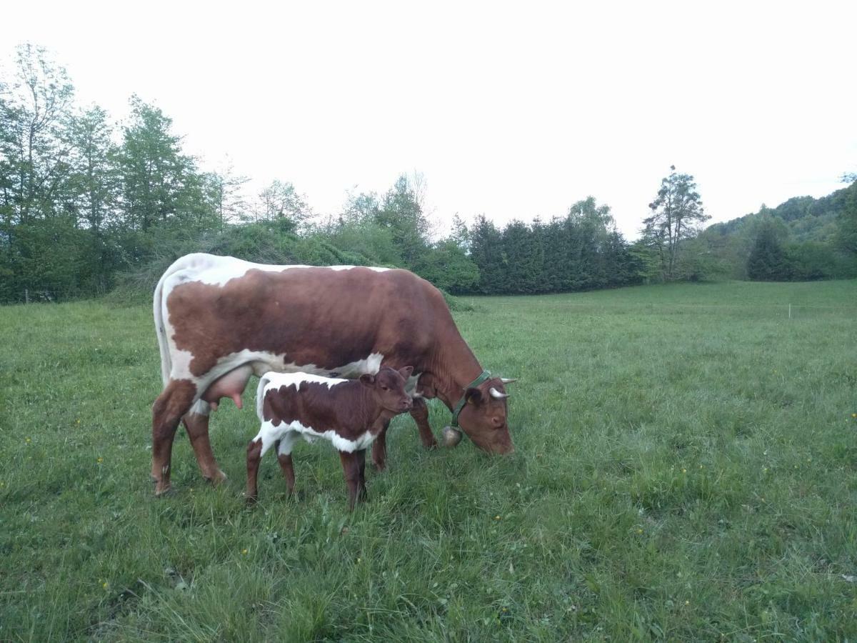 ラドヴリツァ Puzman Farm Glampingヴィラ エクステリア 写真