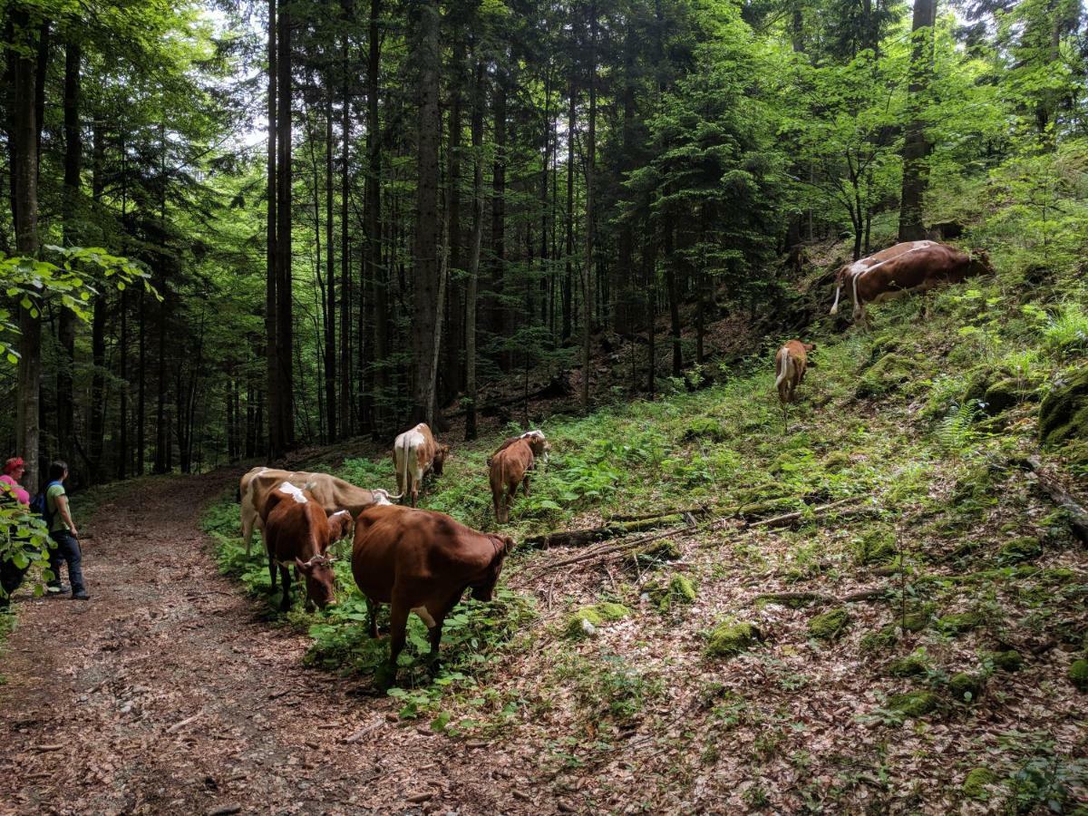 ラドヴリツァ Puzman Farm Glampingヴィラ エクステリア 写真