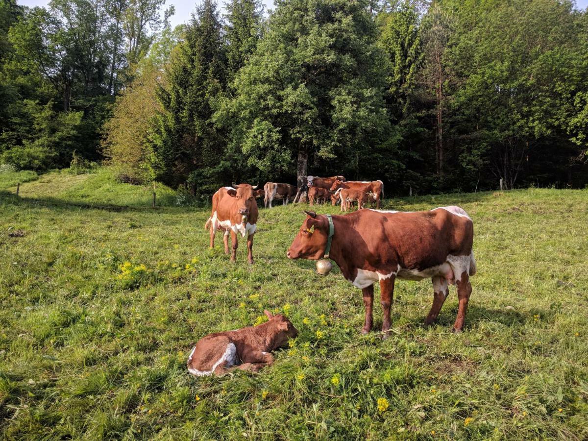 ラドヴリツァ Puzman Farm Glampingヴィラ エクステリア 写真